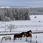 Xxl Panoramablick Mit Gratis Koenigscard *
