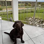 Xxl Panoramablick Mit Gratis Koenigscard 公寓 Wessobrunn