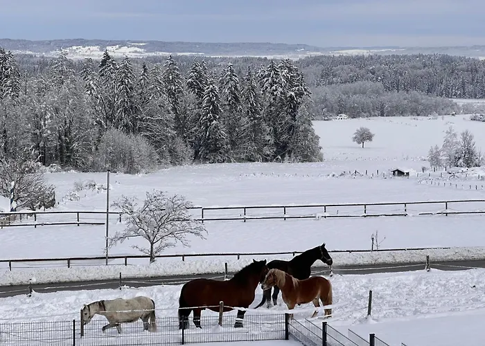 Xxl Panoramablick Mit Gratis Koenigscard *