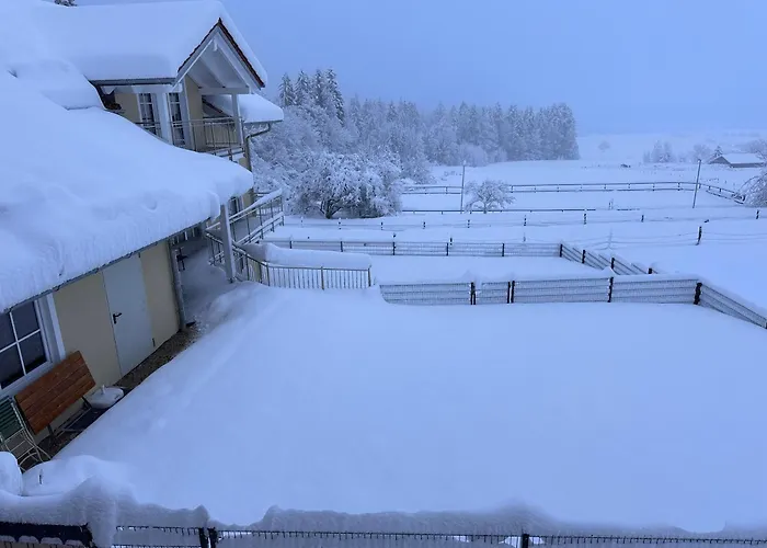 Xxl Panoramablick Mit Gratis Koenigscard *